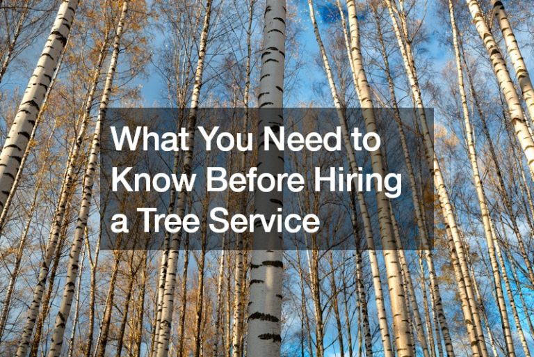 What You Need to Know Before Hiring a Tree Service